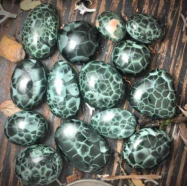 Chlorastrolite stone